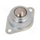 Ball casters Kit: ball,housing silver screw Ø: 15mm steel