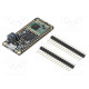 Controller wireless ARM Cortex-M0,ATSAMD21G18 3.3÷5VDC PWM: 8