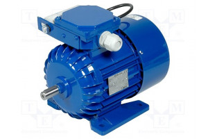 Motor: AC 1-phase 0.25kW 230VAC 1340rpm 1.78Nm IP54 2.5A arms