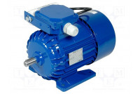 Motor: AC 1-phase 0.37kW 230VAC 1320rpm 2.68Nm IP54 3.2A arms