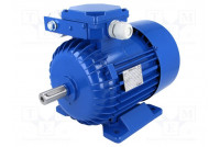 Motor: AC 1-phase 0.75kW 230VAC 1410rpm 5.08Nm IP54 4.8A arms