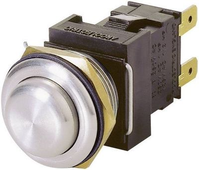 2-NAP VANDAL PROOF PAINOKYTKIN 12A OFF-(ON)