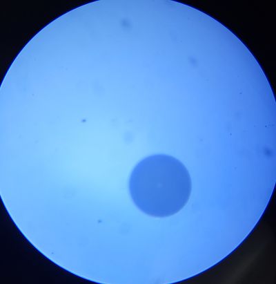 TC-26 VALOKUITUMIKROSKOOPPI 400x