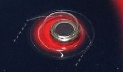 KELLOPARISTO 1,55V: 390,389,189,LR54,V10GA,SR54,RW8,LR1130