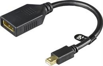 DisplayPort NAARAS / miniDisplayPort UROS