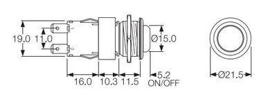 2-NAP VANDAL PROOF PAINOKYTKIN 12A OFF-(ON)
